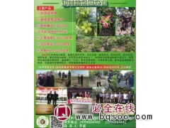 碧馨园农业 碧根果苗批发 邳州碧根果繁育基地 碧根果苗供应图1
