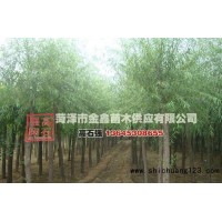 垂柳价格 垂柳树苗价格，垂柳工程苗，菏泽垂柳基地 金鑫园林