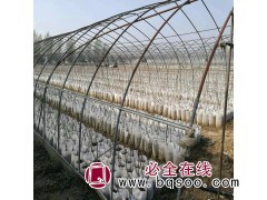 加厚花盆植树袋 植树袋种树袋 直销美植袋 河北大森育苗袋定制图1