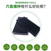 温室育苗穴盘