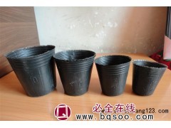 河北金盾塑料厂 唐山营养钵|唐山营养钵厂家|唐山营养钵图1