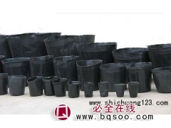 花卉周转18X 10营养钵花盆,,河北金盾塑料制品图1