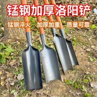 挖树专用锰钢加厚锹 王中王加厚锹 锰钢洛阳铲 大森园艺 钢锹