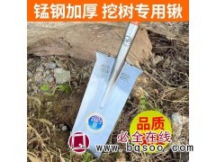 锰钢加厚挖树专用锹 王中王牌挖树锹价格 宏业钢锹 大森园艺图1