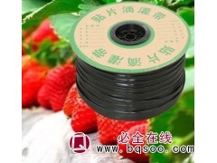 贴片式灌溉带图1