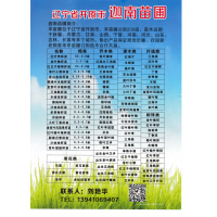 0.3-0.8米红叶李杯苗 红叶李小苗价格 开原市迦南苗圃