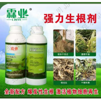 杀虫剂、杀菌剂、强力生根剂 河北霖业园林养护用品