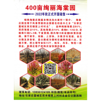 400亩绚丽海棠园 海棠基地 绚丽海棠价格表 河北海棠基地