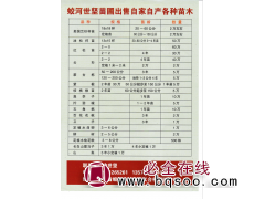 美国兰杉杯苗大量 兰杉定制苗 蛟河市世坚苗圃 美国兰杉苗图1