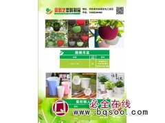 藤编吊篮图1
