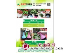360#绿萝盆图1