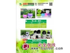 扇形水培花盆图1
