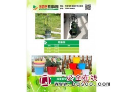 绿萝套盆图1