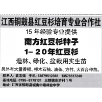 南方红豆杉种子、1-20年红豆杉 铜鼓县红豆杉培育专业合作社