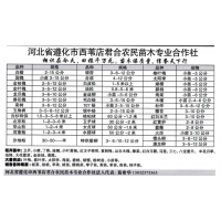 君合农民苗木专业合作社供应白蜡2-15公分 河北白蜡基地