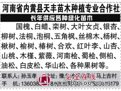 天丰苗木种植专业合作社长年 绿化苗木 国槐 速生国槐树图1
