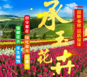 承玉花卉苗木种植专业合作社