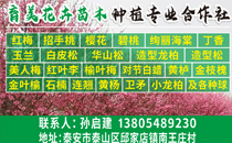 育美花卉苗木种植专业合作社