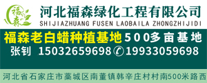 石家庄福森老白蜡种植基地