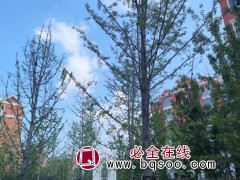 工程案例