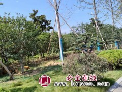 工程案例