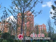 工程案例