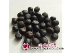 中川牡丹 α亚麻酸含量高达40% 种子 榨油 油用牡丹种籽图1