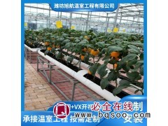无土栽培系统 节省人力方便管理 自动化程度高 草莓种植图1