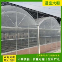 连栋育苗温室 花卉大棚 现代农业 施工快捷 有助于冬季保温