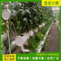 无土栽培模式 温室内部蔬菜种植 立式A字架水培架