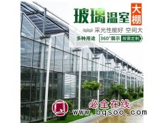 阳光板温室 蔬菜花卉种植 生态阳光育苗温室大棚 美观大方图1