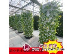 鱼菜共生设备造价 玻璃温室无土栽培 鱼菜设施安装图1