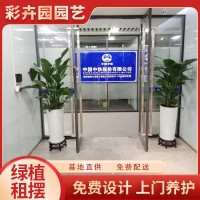 彩卉园 花卉盆栽租赁 客厅办公室观叶植物 绿植出租养护 种类全 一帆风顺