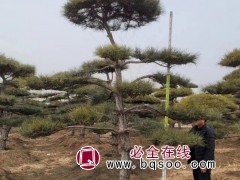 景松