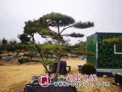 景松