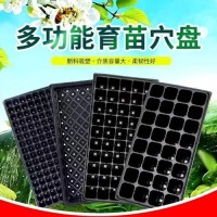 72穴多肉育苗盘 黑色育苗穴盘 水稻育秧托盘 利华塑料