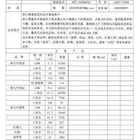 南天竺翡翠苗、南天竺鸿运苗 南天竺销售 萧建桃花坞花卉基地