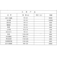 花叶三角枫价格 3-20公分花叶三角枫销售 杭州蓝天园林