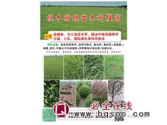 农户百慕大草坪 天堂草 土平百慕达草卷 基地直供 悦木园林图1