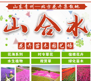 青州市山合水花卉苗木园艺场