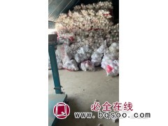 土球布 无纺布 带土球无纺布条 土球布绳 鲁西无纺布厂家图1