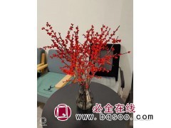 美国冬青苗 美国冬青裸根苗销售价格 美国冬青 扶余县瑶琪苗圃图1