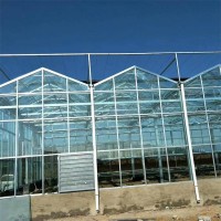 贝荣 玻璃温室 智能连栋大棚 生态园区规划 搭建工期短