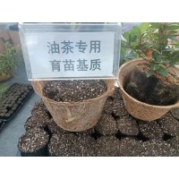 扦插育苗一站式容器-油茶专用育苗基质-金飞弘育苗材料