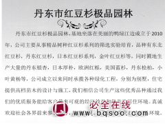 东北红豆杉，丹东红豆杉，日本红豆杉-红豆杉极品园林图1