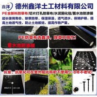 PE防草布-编织布-抗老化编织袋-德州防草布-鑫洋土工材料