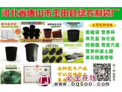 美植袋-营养杯-双色盆-美植袋定制-玉田县绿农制袋厂图1