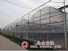 温室大棚建设施工-玻璃温室-传统温室-智能温室-青州英桦园林图1