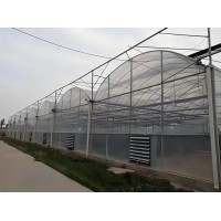 温室大棚建设施工-玻璃温室-传统温室-智能温室-青州英桦园林