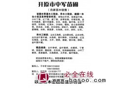 密枝红叶李、地接金叶榆-开原市中军苗圃-东北绿化苗木基地图1